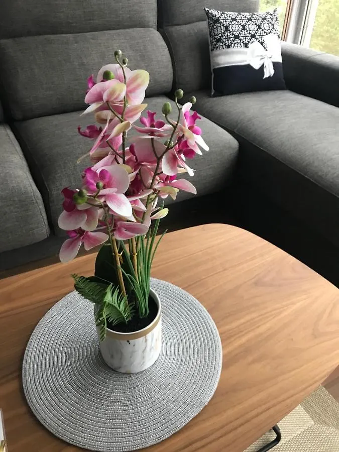 Nice And Elegant Apartment. Salt 0*,